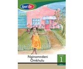Spot On IsiZulu Grade 2 Big Book: UThuthu Intuthwane Elahlekile : Grade 2
