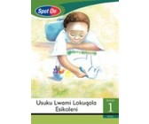 Spot On IsiZulu Grade 2 Big Book: UThuthu Intuthwane Elahlekile : Grade 2