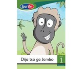 Best Books gegradeerde leesreeks: Vlak 1 Boek 4: Gr 3: Leesboek