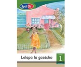 Best Books gegradeerde leesreeks: Vlak 1 Boek 4: Gr 3: Leesboek