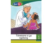 Best Books gegradeerde leesreeks: Vlak 1 Boek 4: Gr 3: Leesboek