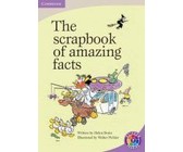 New day-by-day numeracy: Gr R: Activity book