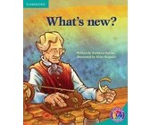 New day-by-day numeracy: Gr R: Activity book