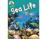 Life and Times of Benny Alvarez (eBook)