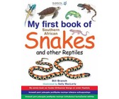 Oxford Reading Tree: Level 9: More Stories A: Rescue