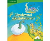 One Dark, Dark Night (English)