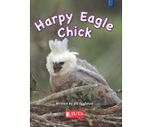 Kollig Op Afrikaans Graad 2 Leesboek: Die sokker-ekspo : Grade 2