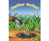 Coco the ratty tatty cat: Gr 2: Big Book