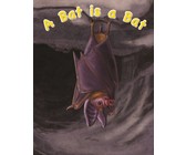 Coco the ratty tatty cat: Gr 2: Big Book