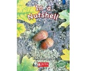Kollig Op Afrikaans Graad 2 Leesboek: Die sokker-ekspo : Grade 2