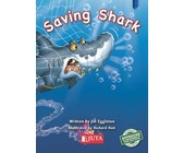 New day-by-day numeracy: Gr R: Activity book