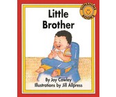 Incwadzi yetindzaba: Gr 2: Reader 4
