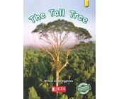 New day-by-day numeracy: Gr R: Activity book