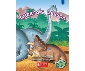 New day-by-day numeracy: Gr R: Activity book