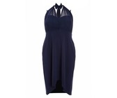 Quiz Ladies Navy Mesh Halterneck Maxi Dress