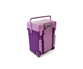 Cadii School Bag - Lilac Lid with Purple Body