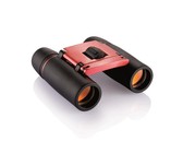 Led Lenser - P4 BM Torch
