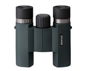 Bushnell 10x42 Nitro Roof Prism Binocular - Metal Grey