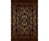 Lush Living Rug Bailey Plush Shaggy - Chocolate - 50 x 80cm - Pack of 4