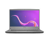 ASUS TUF Gaming A15 FA507UI Notebook PC - Ryzen 9-8945H / 15.6" QHD / 16GB RAM / 1TB SSD / NVIDIA RTX 4070 8GB / Win 11 Home / Grey