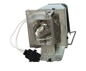 NEC M333XS Projector Lamp - Philips Lamp in Housing from APOG