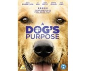 Gerrie Pretorius - Leef Jou Reis Reeks 4 (DVD)