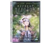 Space Between Us(DVD)