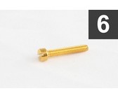 Allparts Guitar Short Machine Head Button Screws - Gold (Pack of 6)