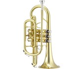 Jupiter JTU1110 1100 Series 4 Vale BBb Tuba with Case (Lacquered Brass)