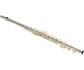 Jupiter JTU1110 1100 Series 4 Vale BBb Tuba with Case (Lacquered Brass)