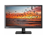 HP ProDisplay P204V 19.5-inch HD Monitor