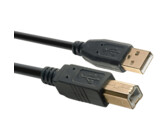 Dell USB-A to USB-B Cable