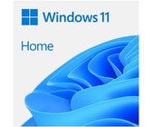 Microsoft Visio Standard 2021 ESD