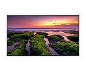 Samsung 55" VMT-E Extreme Narrow Bezel Video Wall Display