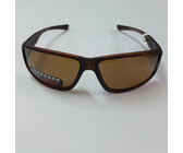 Sunglasses bourbon brown sports